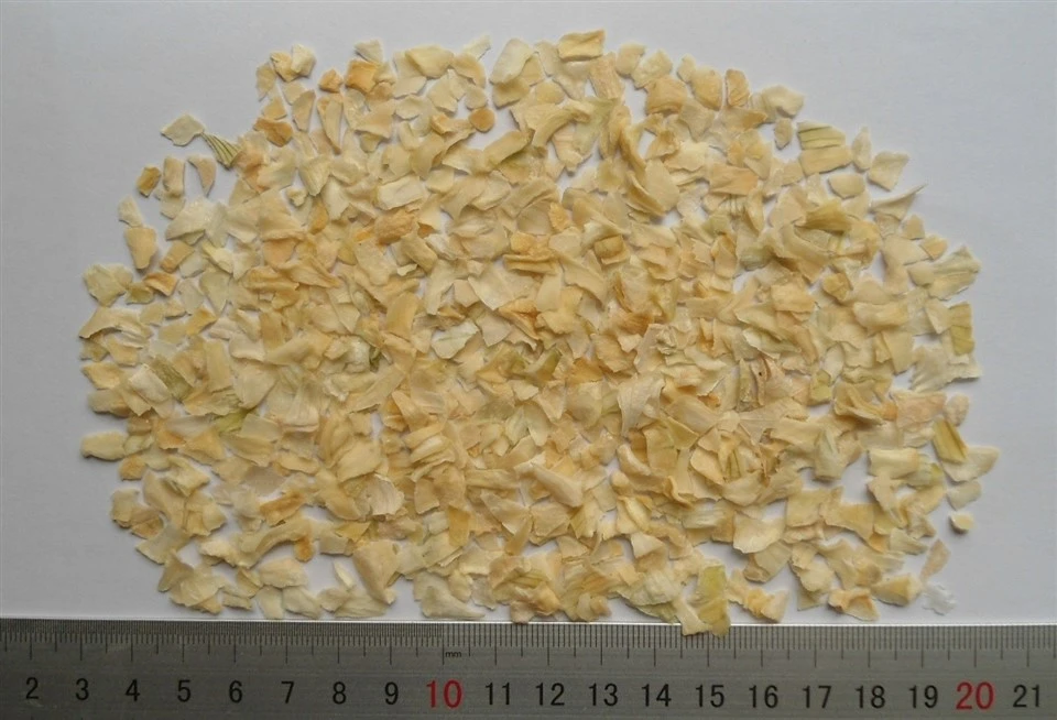 chopped onioin dehyrated